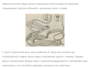 Промедонлайн.нет