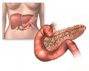 Панкреатит: симптомы, причины и методы лечения народными средствами