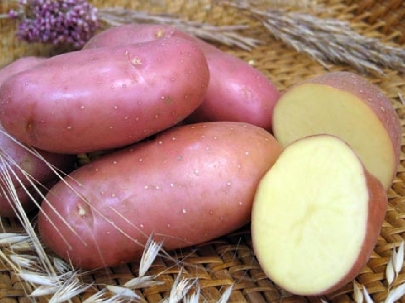 Несколько порций картофеля в день способны понизить кровяное давление