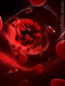 Разработаны биоинженерные кровеносные сосуды, синтезирующие лекарственные вещества