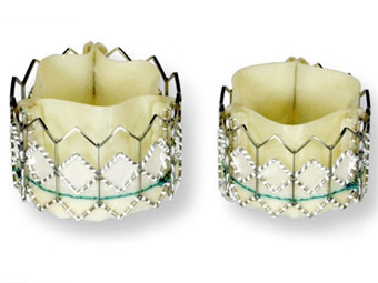 В США разрешили протезировать сердечные клапаны с помощью катетера