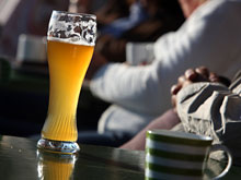 Защитить свое сердце от болезней можно с помощью кружки пива