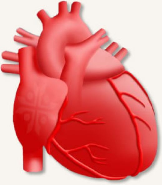 В Окружном кардиодиспансере отмечается увеличение объемов ВМП