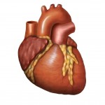 Акрихин расширяет кардио портфолио