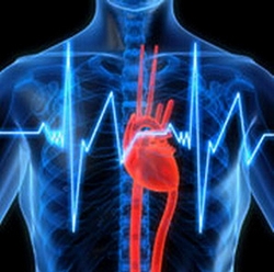 Ранолазин защищает сердце при отравлении СО
