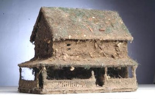 Домашняя пыль как один из врагов здоровья