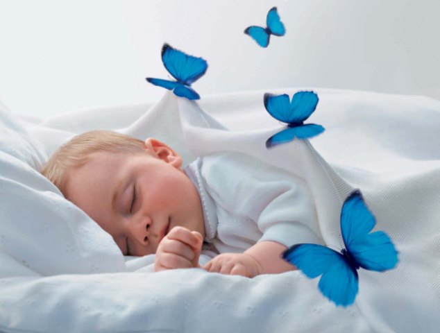 Чистый воздух — здоровый организм