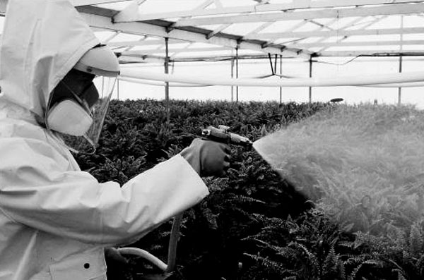 Как промышленные пестициды влияют на мужское здоровье