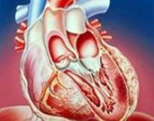 Восемь сигналов нездоровья сердца