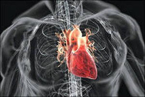 Многие пороки сердца объясняются генетическими мутациями