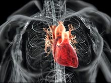Виртуальная модель сердца позволит выявить заболевания на ранних стадиях