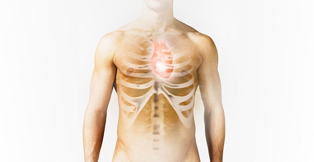 Польза спорта для здоровья сердца