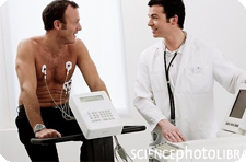 Исследователи нашли белок, недостаток которго заставляет сердце спортсмена набирать вес