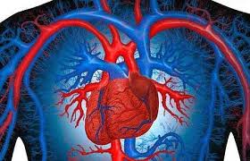 Признаки стенокардии