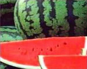 Арбуз для гипертоника