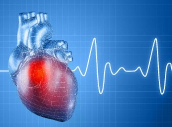 Ученые совершили прорыв в лечении инфаркта миокарда