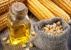 Кукурузное масло – не лучшая защита для сердца