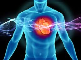 Болезни сердца – признаки сердечных заболеваний