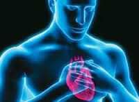 Болезнь, которая кусает сердц