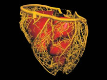 Представлен первый кардиостимулятор, подстраивающийся под дыхание