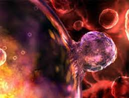 Повреждение при ишемическом инсульте опосредовано отклонениями в работе фермента Cdk5