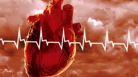 От болезней сердца найдено новое лекарство