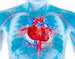 Невоспалительные поражения сердечной мышцы (кардиомиопатии)
