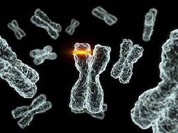 Депрессия — фактор риска ИБС