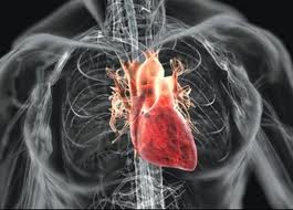 Опухоли сердца