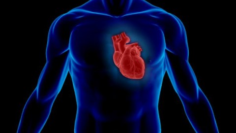 Создана «умная одежда», следящая за работой сердца