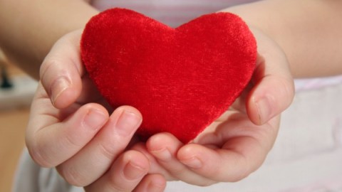 Новое сердце из стволовых клеток удалось вырастить американцам