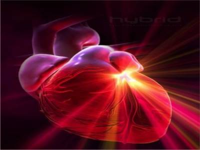 Медики смогут регенерировать сердце человека после инфаркта