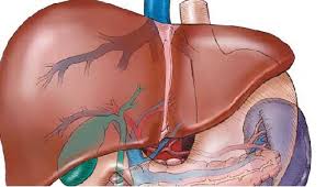Лечение портальной гипертензии