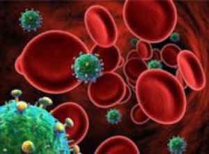 Установлена причина негативного влияния красного мяса на работу сердца