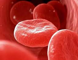 Заболевания сердца