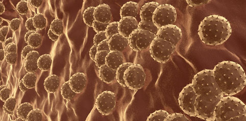 Вирусные гепатиты или Чума 21-го века