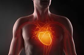 Рак опасен для сердца, показало исследование