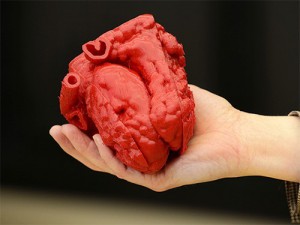 Сердце девятимесячного младенца напечатали на 3D-принтере