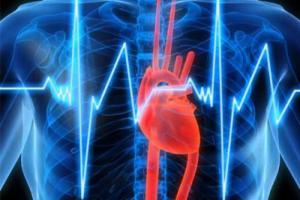 Учёные: Интернет поможет вылечить инфаркт