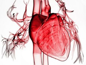 Повторный инфаркт в течение 4 лет после первого переживает каждый четвертый пациент