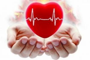 Учёные нашли отличия между мужским и женским инфарктом