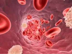 Обычный плеер различает сердечные шумы