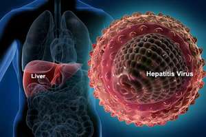 К чему может привести хронический гепатит С
