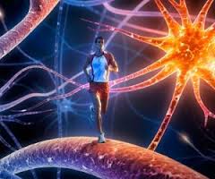 Эти 8 ежедневных правил помогут вам избежать инсульта