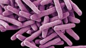 Ученые нашли новые вариации генов, ответственные за сердечный ритм