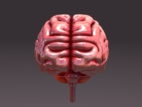 Ингибиторы протонной помпы повышают риск инсульта