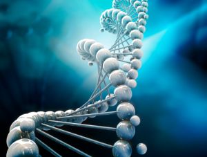 Генная терапия сердечно-сосудистых заболеваний