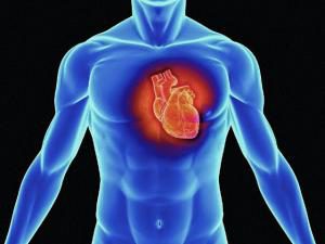 Исследования в кардиологии