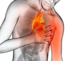 Стенокардия: 12 натуральных средств для нормализации сердечного ритма