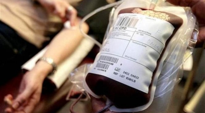 Донорскую кровь будут производить из стволовых клеток